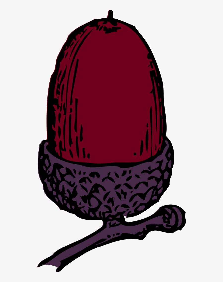 Transparent Seed Packets Clipart - Acorn Clip Art, Transparent Clipart