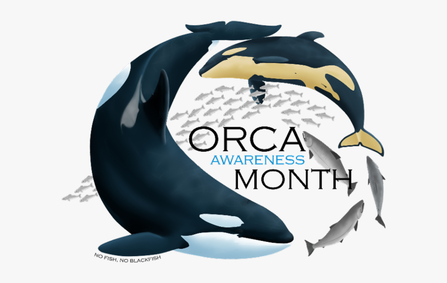 L Pod Comes In - 2 Month Anniversary, Transparent Clipart