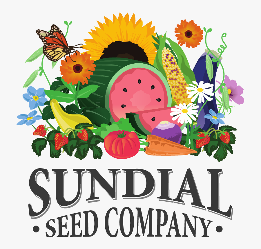 Sundiallogo - Sunflower, Transparent Clipart