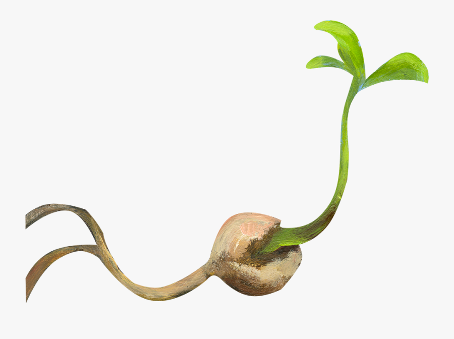 Reptile, Transparent Clipart