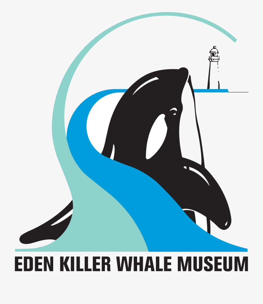 Killer Whale, Transparent Clipart