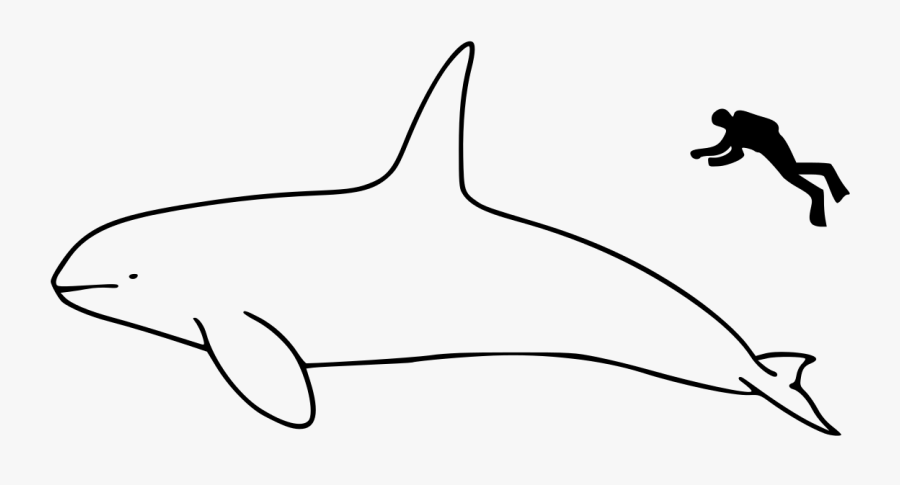 Size Comparison Clipart Black And White, Transparent Clipart