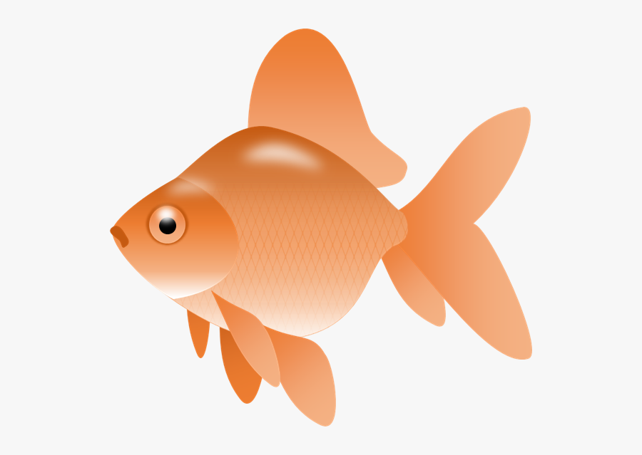 Gold Fish Clipart - Fish Clipart Transparent Png, Transparent Clipart