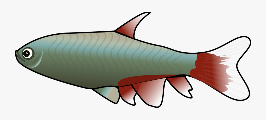 Marine Fish - Fish Clipart, Transparent Clipart