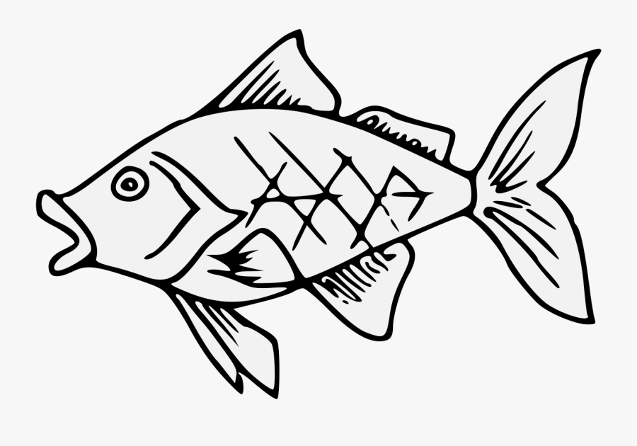 Coral Reef Fish, Transparent Clipart