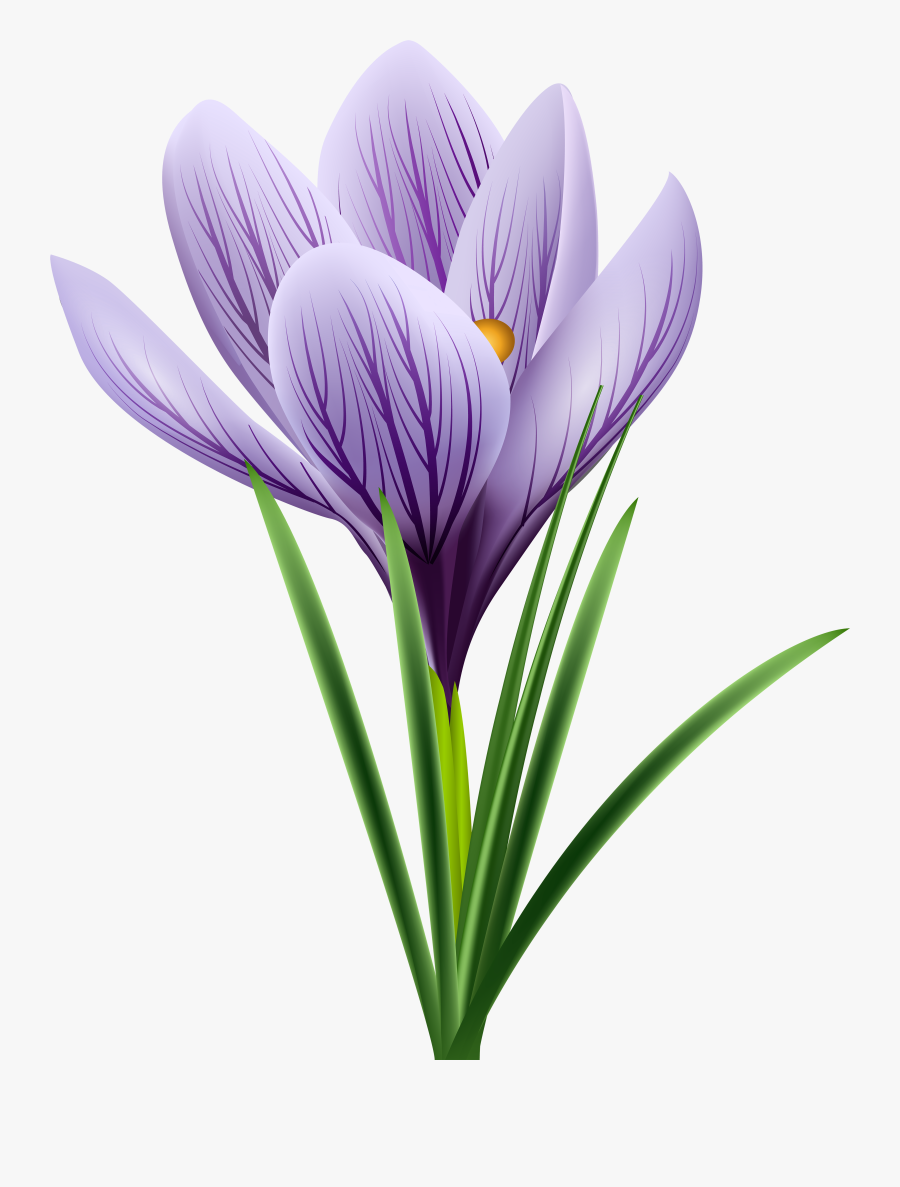 Purple Crocus Transparent Png Clip Art Image - Крокус Пнг, Transparent Clipart