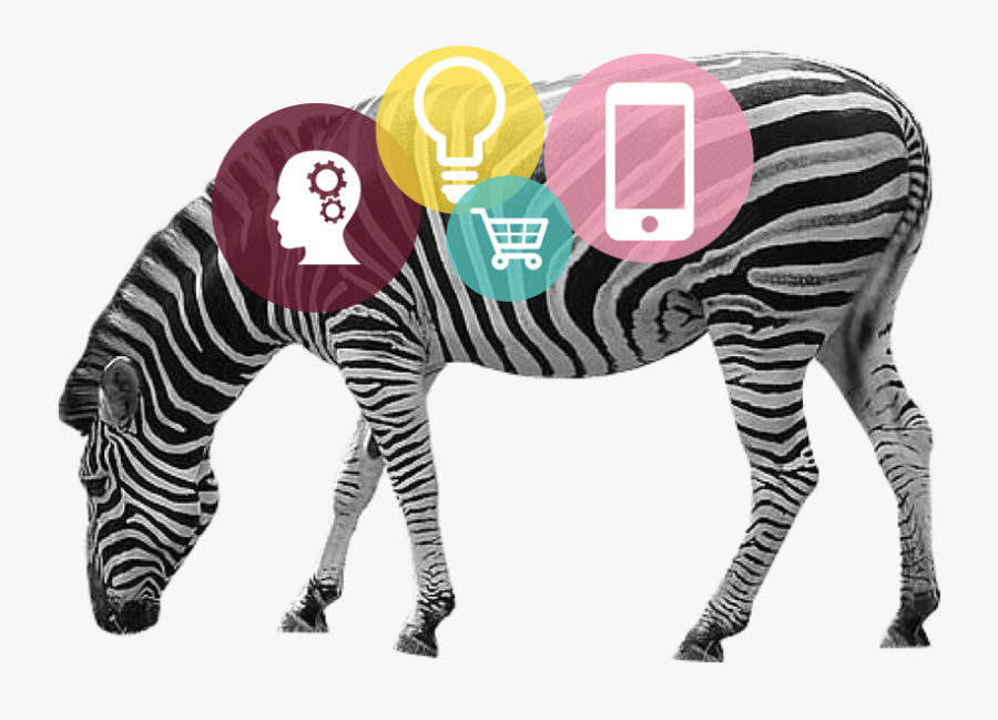 A Journey Through Trends Shaping Today"s Business - Zebra, Transparent Clipart