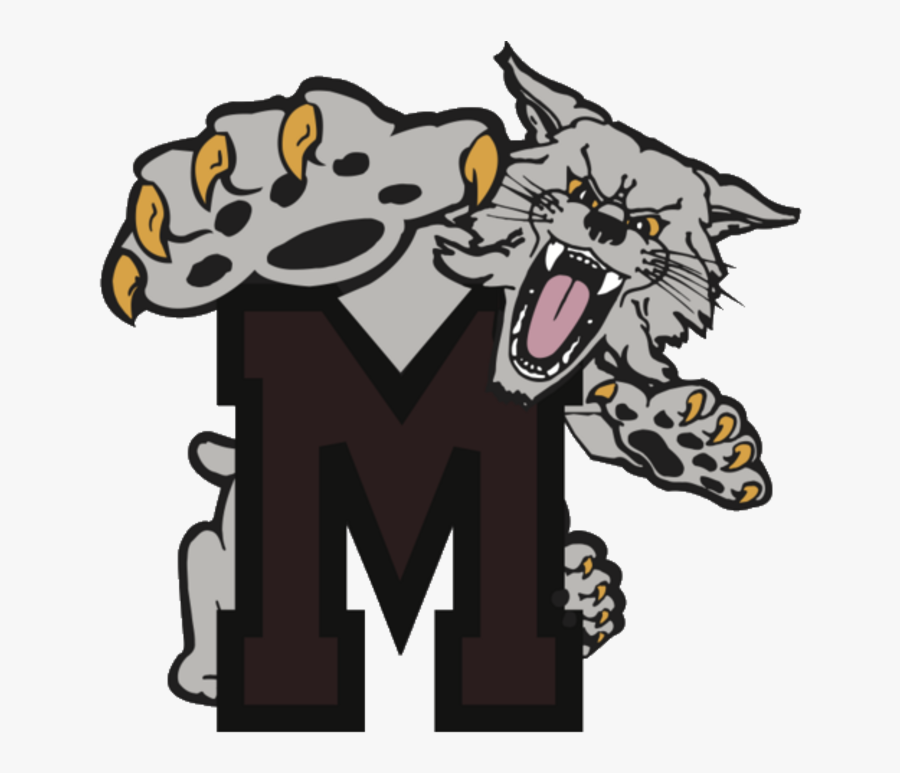 The Mechanicsburg Wildcats - Mechanicsburg Wildcats Logo, Transparent Clipart