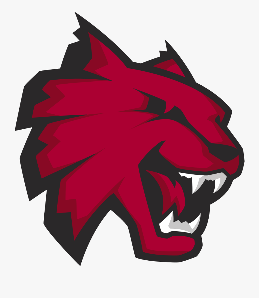 Central Washington University Mascot, Transparent Clipart