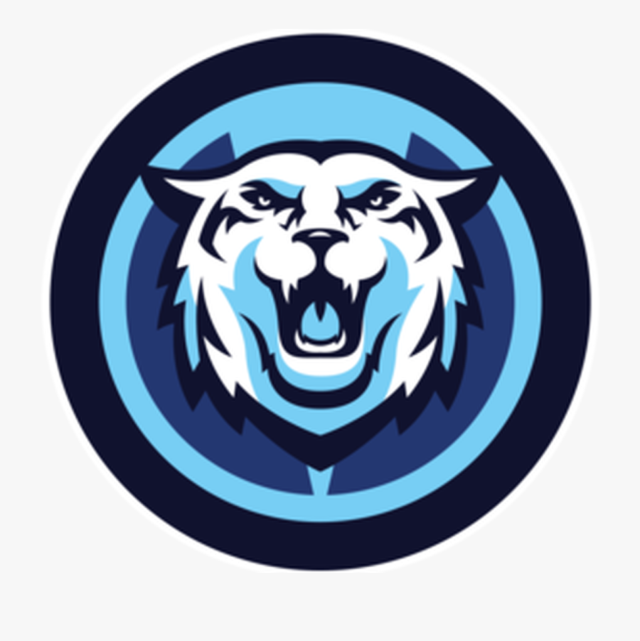Wildcat Clipart Temple - Vu Hoops, Transparent Clipart