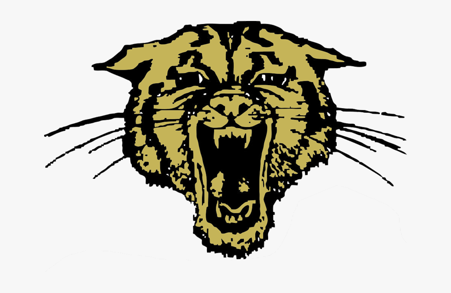 Trumann Wildcats Clipart , Png Download - Douglas High School Bearcat, Transparent Clipart