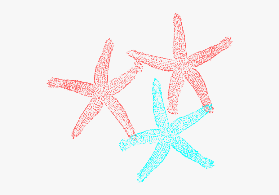 Transparent Background Starfish Clip Art, Transparent Clipart