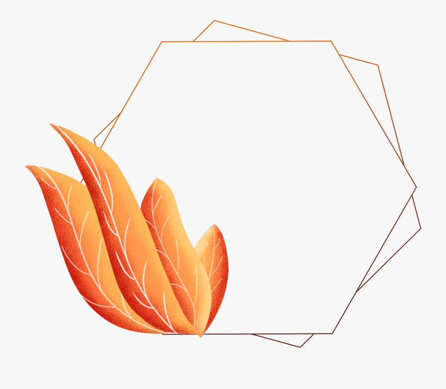 Hand Painted Border Plants Leaves Coral Orange Png - Illustration, Transparent Clipart