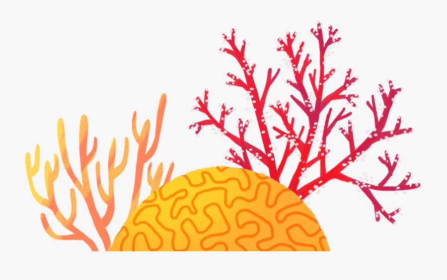 Coral Reefs Are Rich Ecosystems, Known As The Rainforests, Transparent Clipart