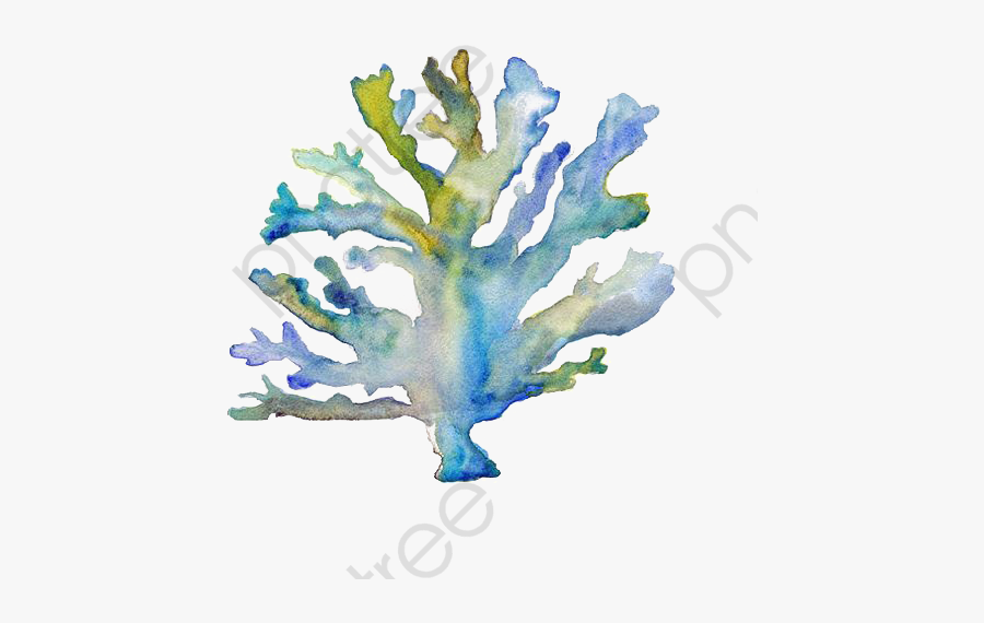 Coral Reef Clipart Watercolor - Corals Shells Tattoo, Transparent Clipart