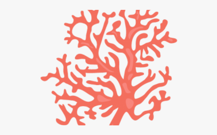 Transparent Background Coral Clipart, Transparent Clipart