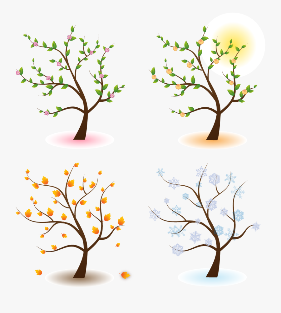 Transparent Seasons Clipart - Four Seasons Vector Png, Transparent Clipart