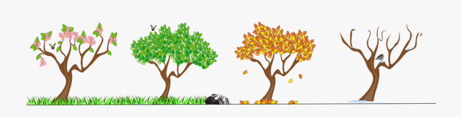 Seasons, Four Seasons, Tree, Nature, Autumn, Spring - Stages Of Life Seasons, Transparent Clipart
