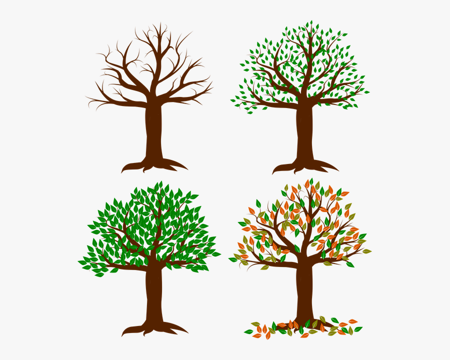 Clipart Transparent Seasons Of The Year - Slow Change And Fast Change, Transparent Clipart