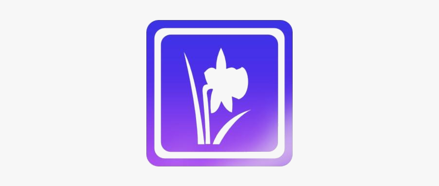 Seasons Photo Frame Clipart Transparent Background - Tulip, Transparent Clipart