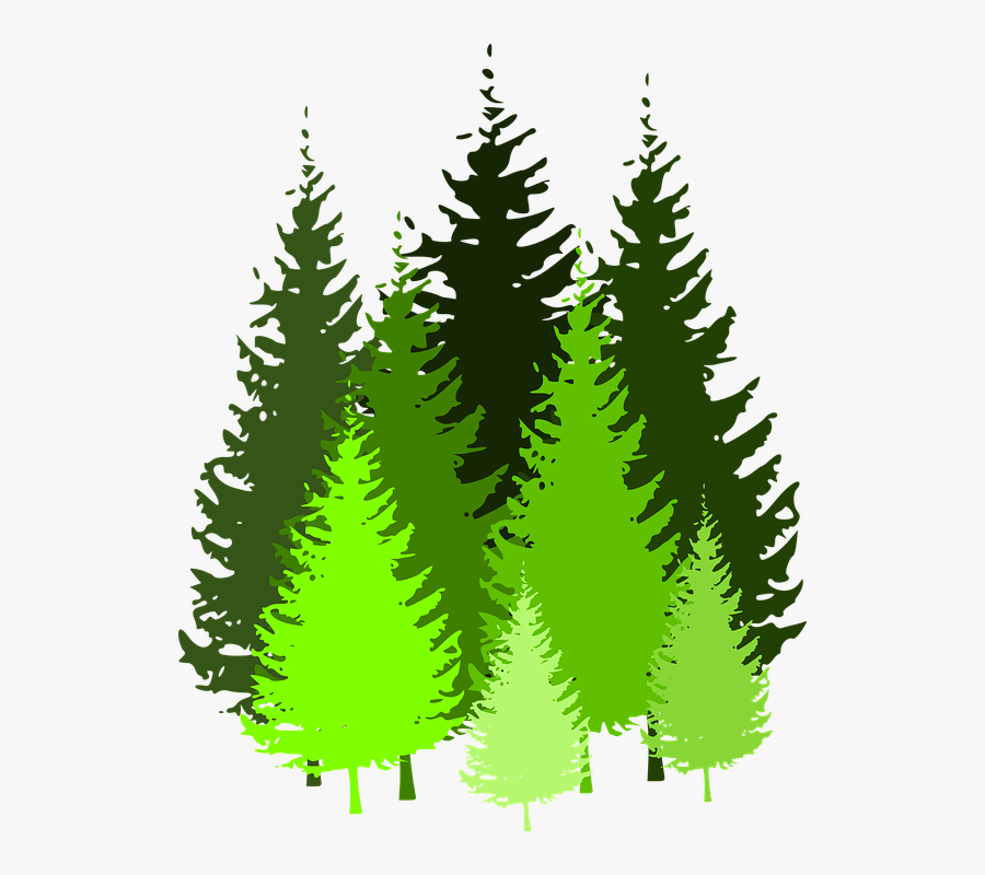 Cartoon Pine Trees 5, Buy Clip Art - Pine Trees Clip Art, Transparent Clipart