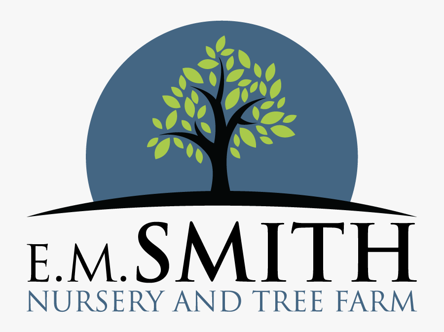 Smith Nursery & Tree Farm Goodhope, Ga Shade Trees - Smayan Healthcare Pvt Ltd, Transparent Clipart