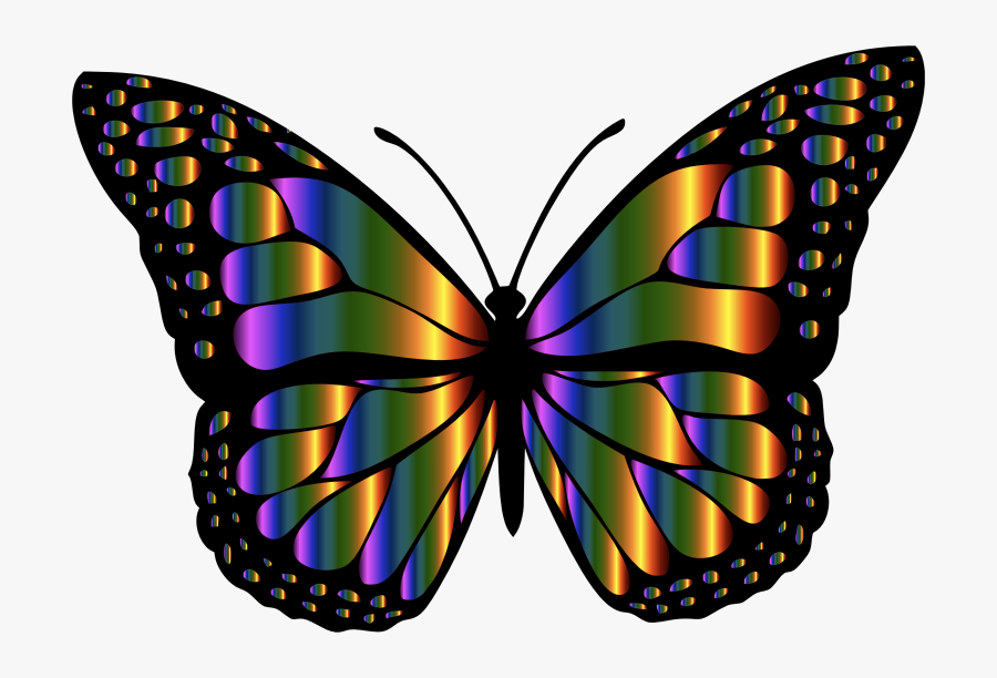 Monarch Butterfly 2 Variation - Rainbow Butterflies, Transparent Clipart