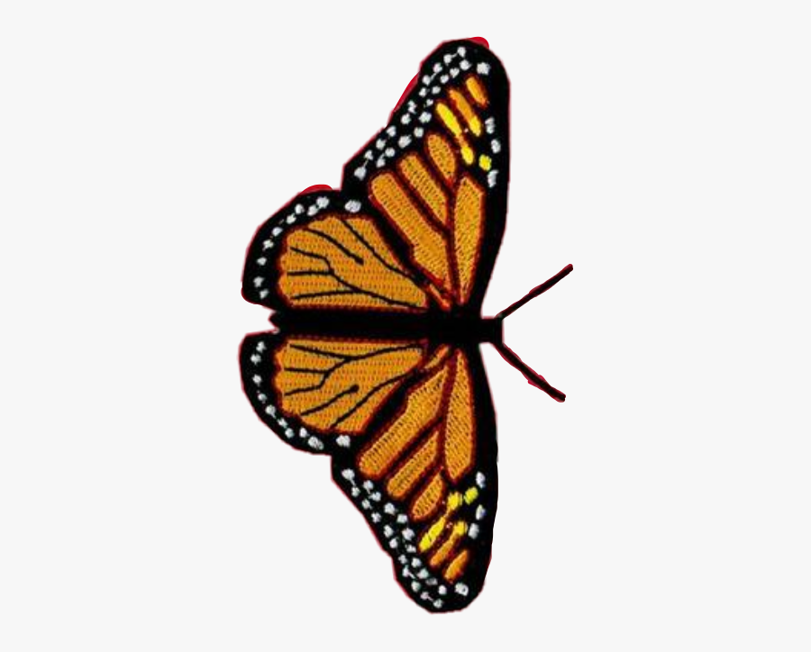 #butterfly #vsco #monarch #edits #pretty #remix #aesthetic, Transparent Clipart
