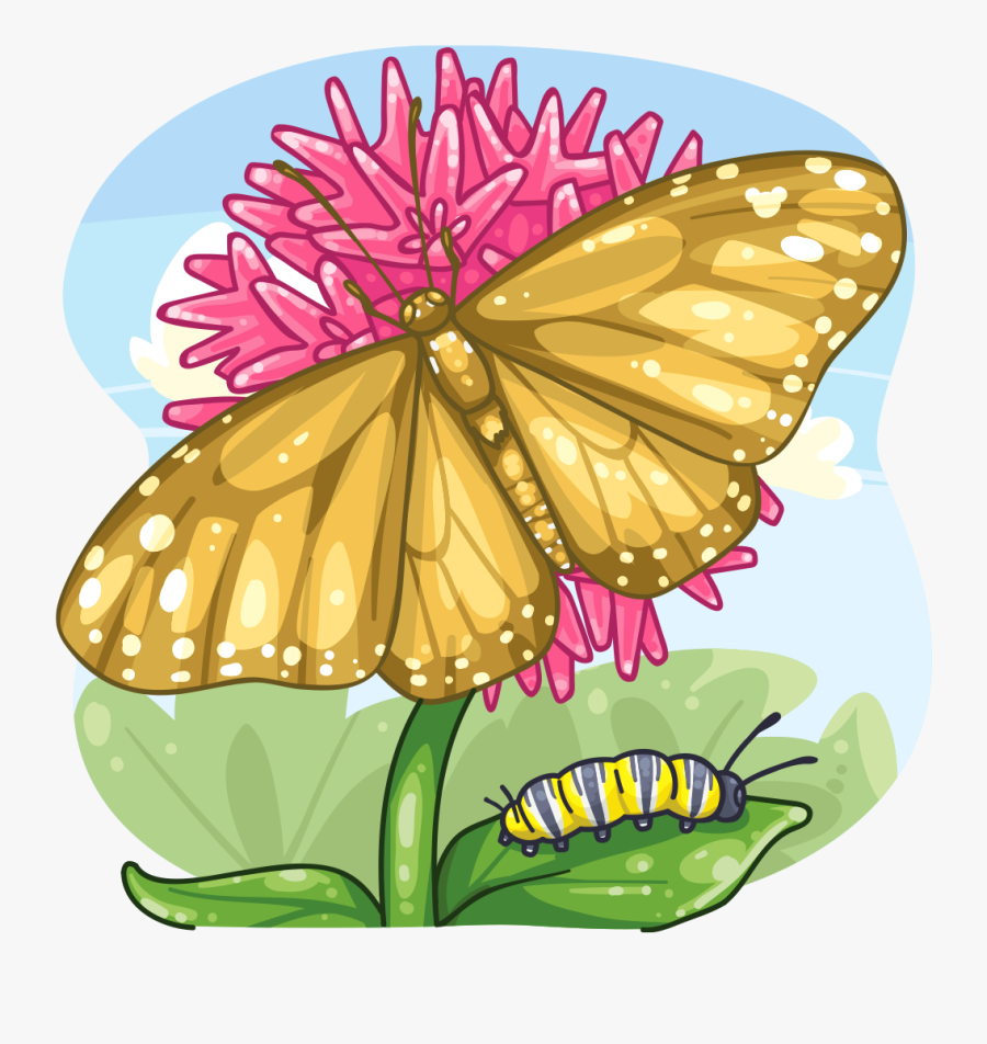 Golden Monarch Butterfly, Transparent Clipart