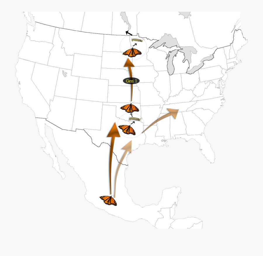 Generation 1 Graphic - Monarch Migration Map 2019, Transparent Clipart