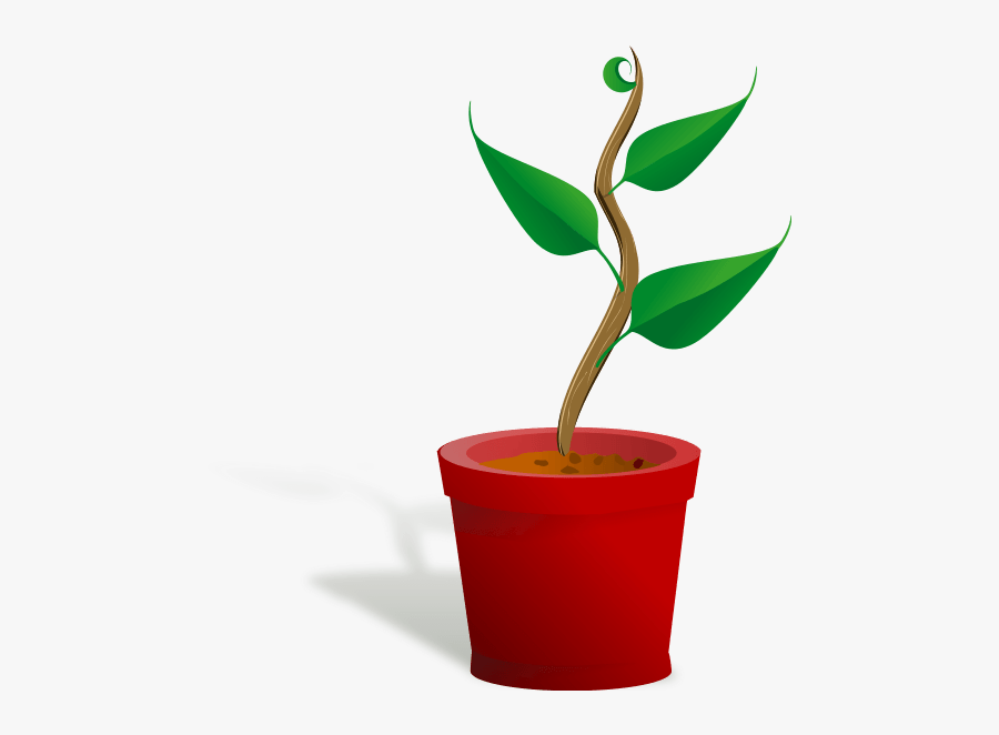 Corn Hole Clipart Images Transparent Png - Plant Clip Art, Transparent Clipart