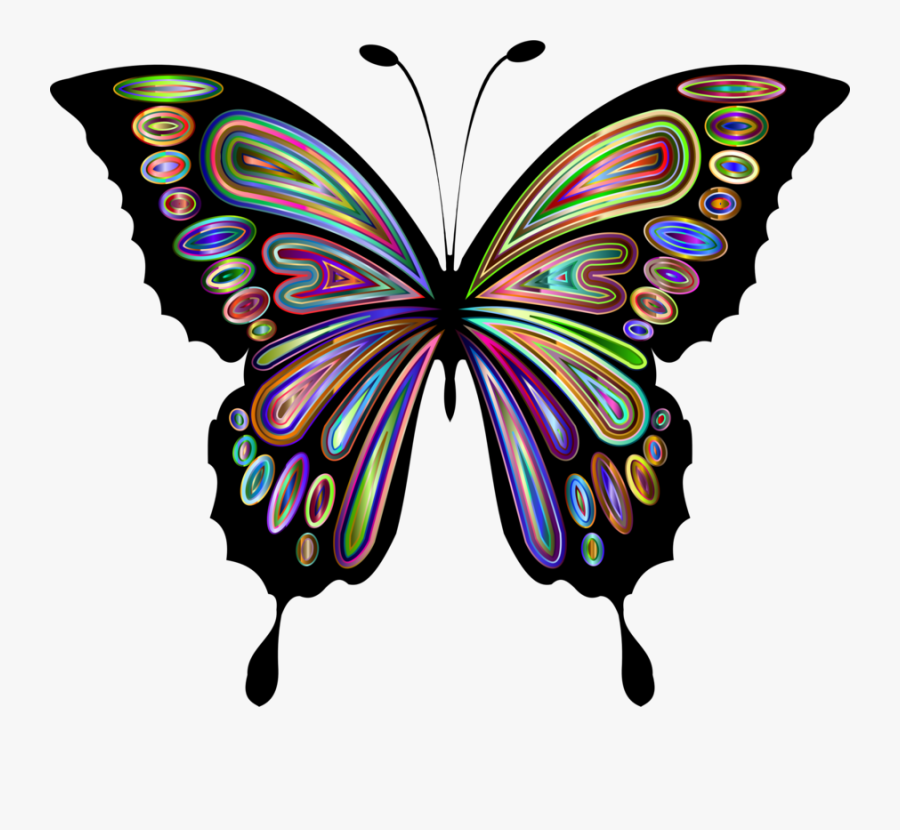 See The Butterfly Monarch Butterfly Download Animal - Blue Butterfly Clipart, Transparent Clipart