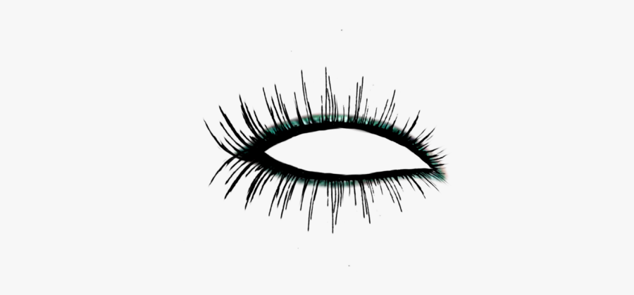 Png Make Up - Eye Outline With Eyelashes, Transparent Clipart
