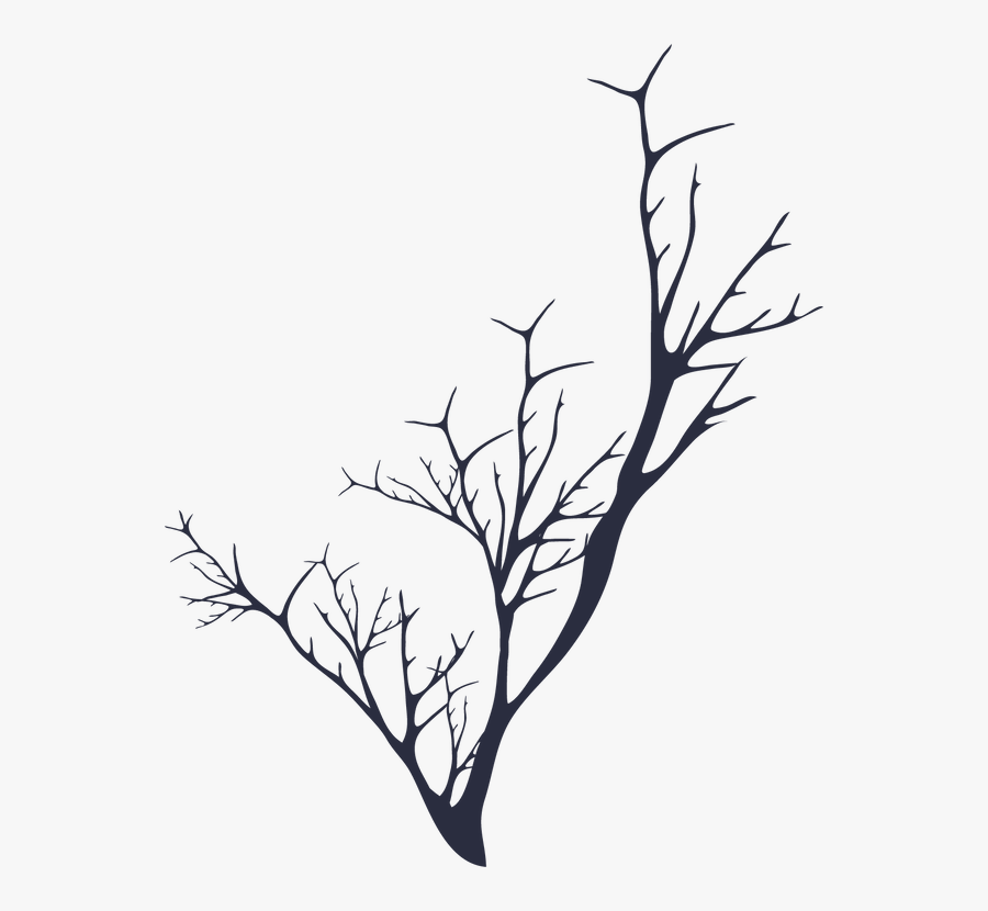 Twig Clipart , Png Download - Twig, Transparent Clipart