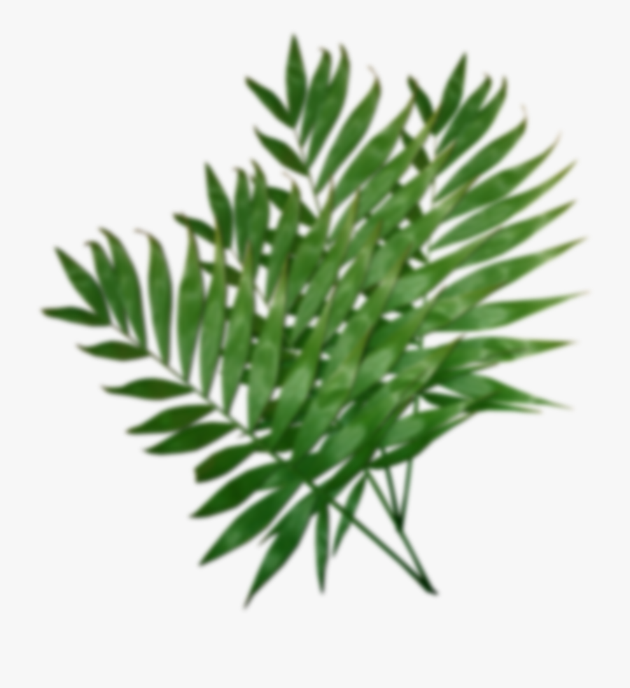 Foam, Transparent Clipart