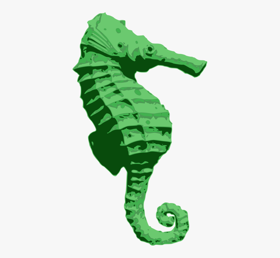 Seahorse, Transparent Clipart