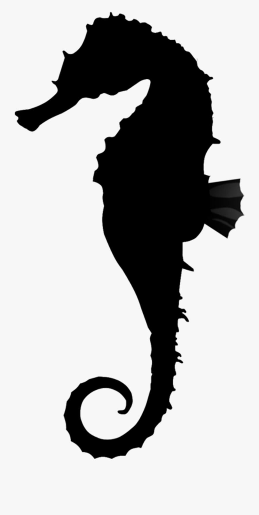 Clip Art , Png Download - Seahorse Png, Transparent Clipart