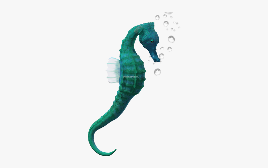 #ftestickers #seahorse - Transparent Background Sea Horse Transparent, Transparent Clipart