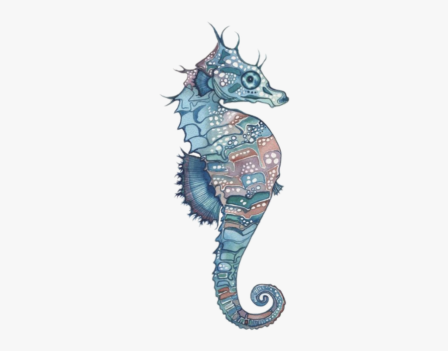 #seahorse #seepferdchen #animal #animals #sea #sealife - Tamara Phillips Sea Horse, Transparent Clipart
