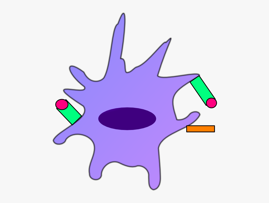 Dendritic Cell Icon, Transparent Clipart
