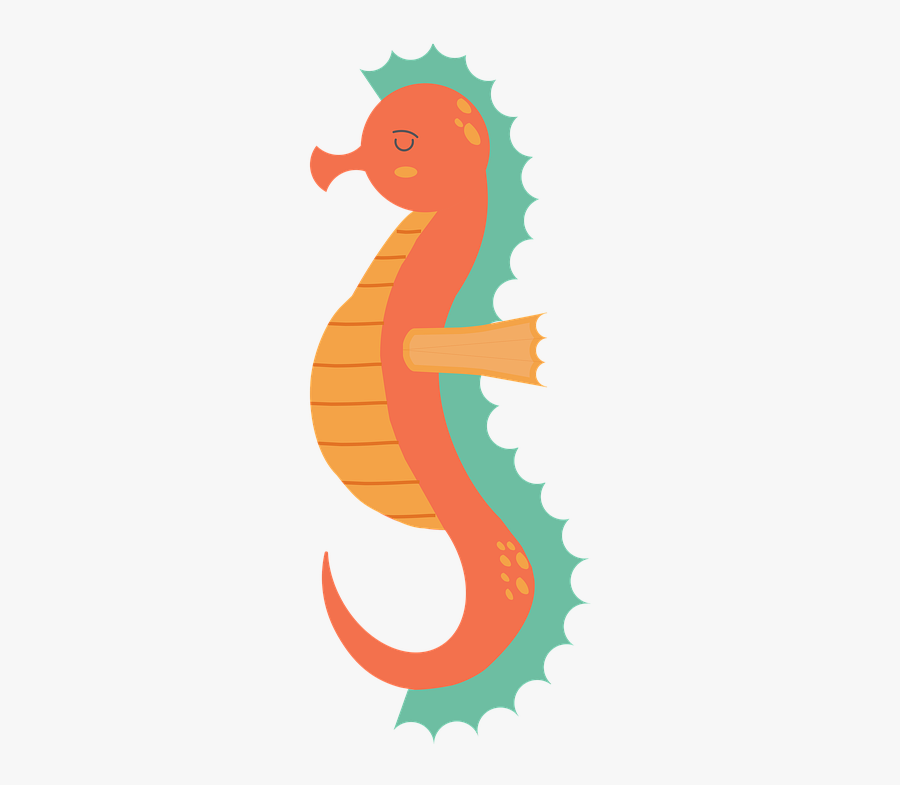 Seahorse, Sealife, Fish, Underwater, Reef, Tropical - Illustration, Transparent Clipart