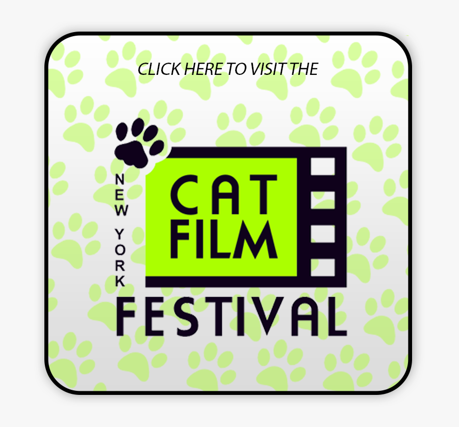 Clickheretovisitcat - Graphic Design, Transparent Clipart