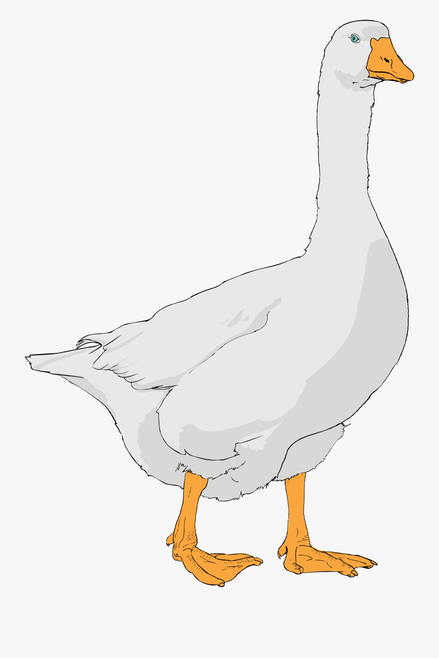 Goose Clipart, Transparent Clipart
