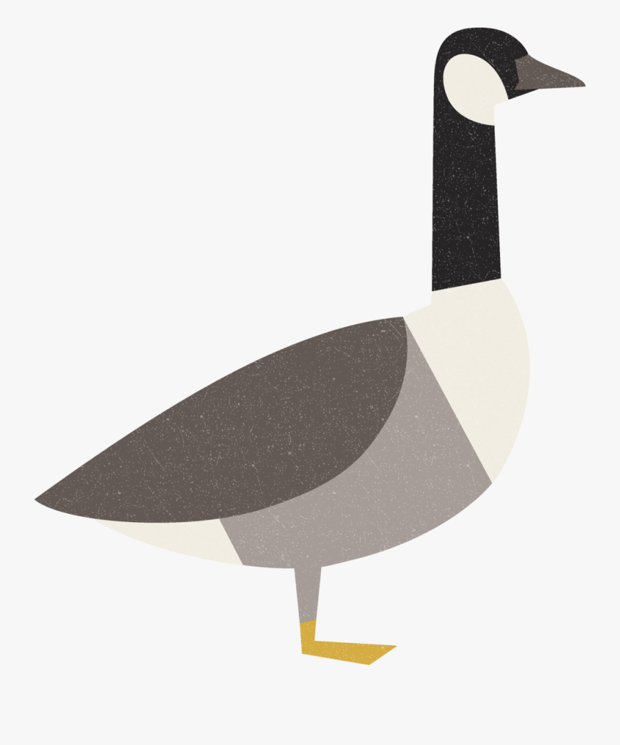 Goose Illustration Png, Transparent Clipart