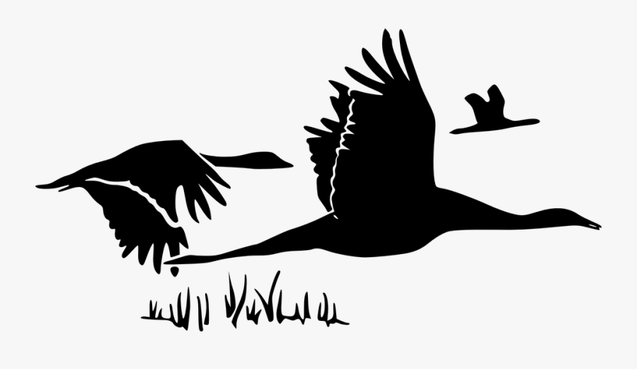 Want This Music And This Dawn, Transparent Clipart