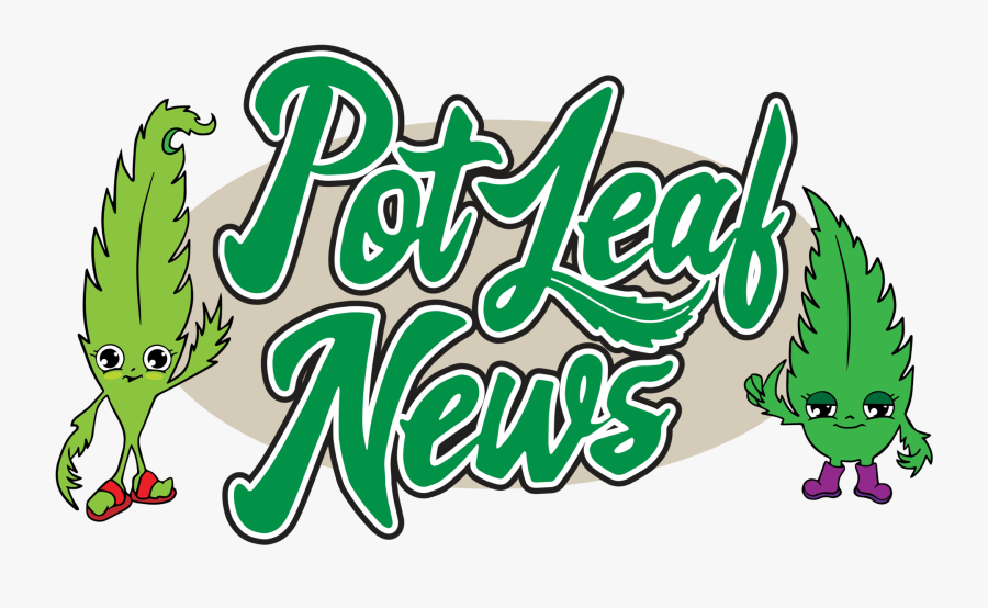 Image Default - Pot Leaf News Logo, Transparent Clipart