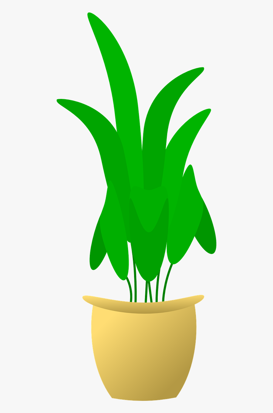 Flowers Xochi - - Plant In Pot, Transparent Clipart