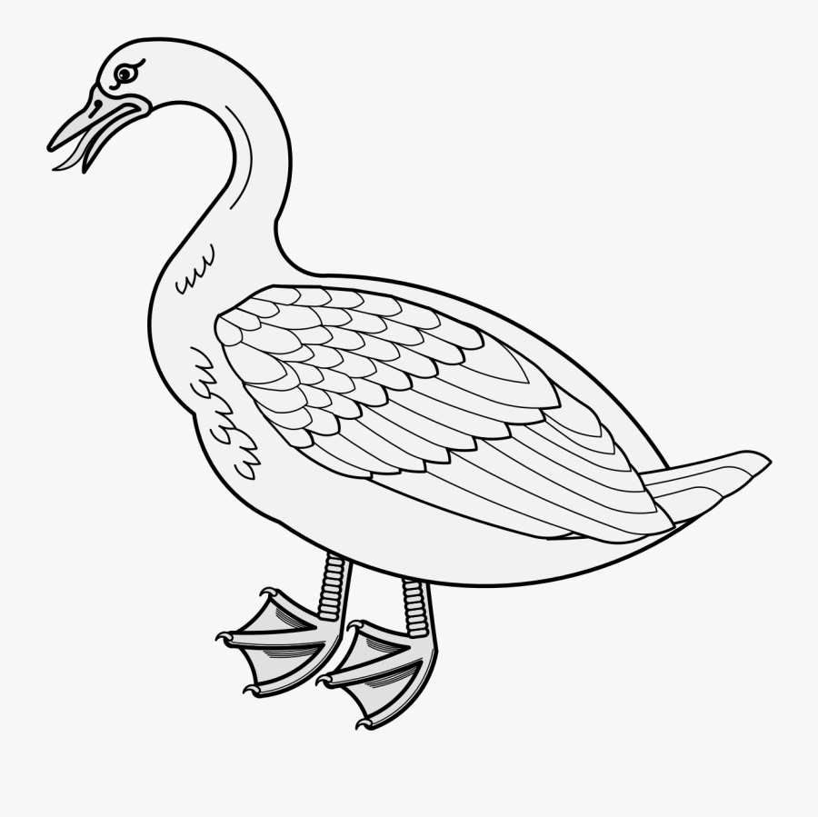 Duck, Transparent Clipart