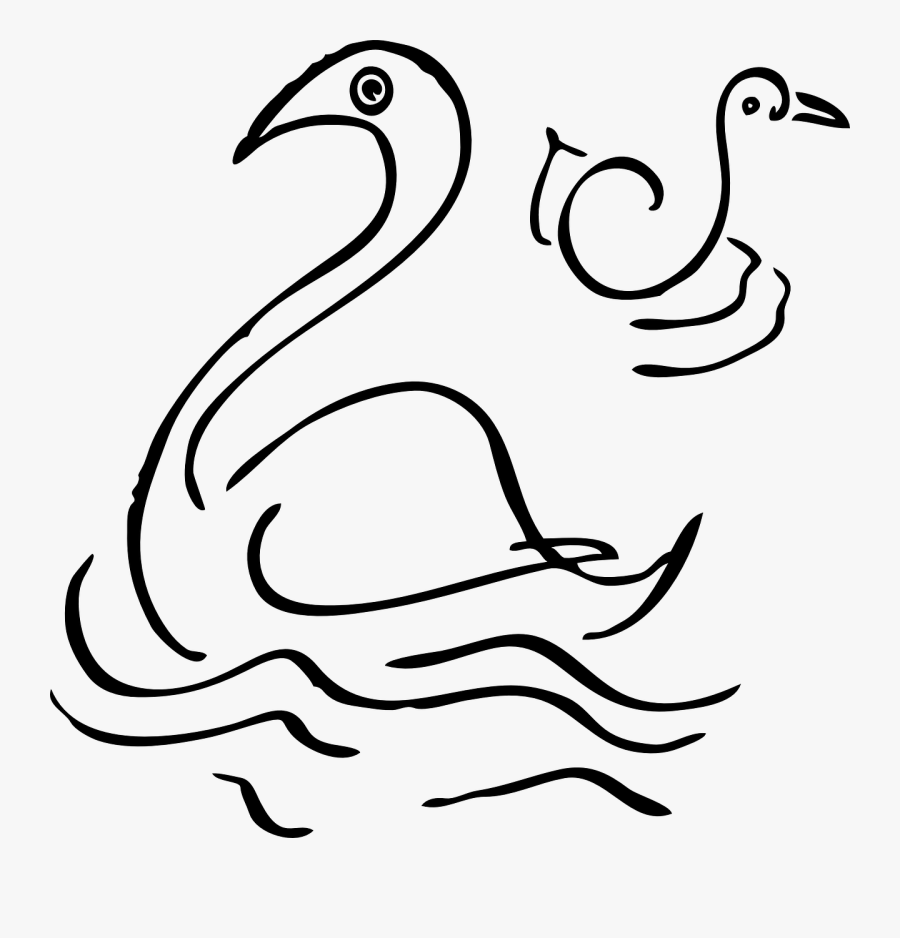 Bird Swan Goose Animal Pond Png Image - Swan Clip Art, Transparent Clipart