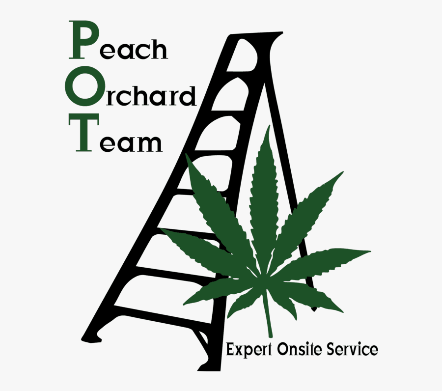 Peach Orchard Team Logo, Transparent Clipart